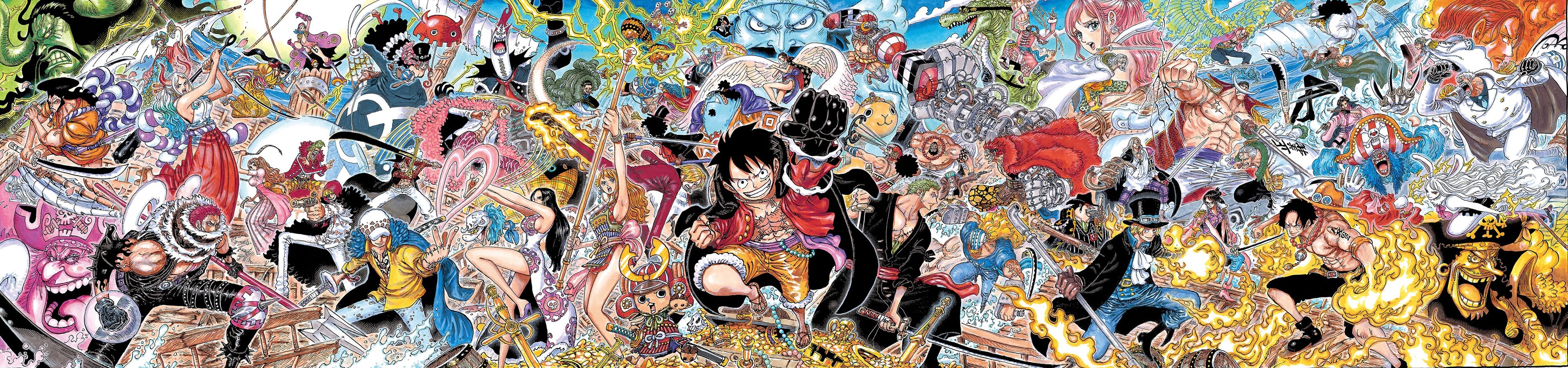 One Piece banner