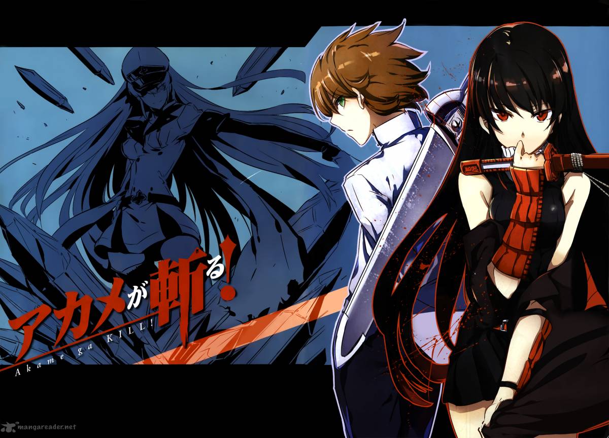 Akame ga Kill! banner